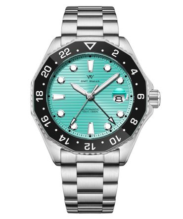 WM202 Dive Watch 43mm TMI NH34 30ATM Men's Automatic Watch